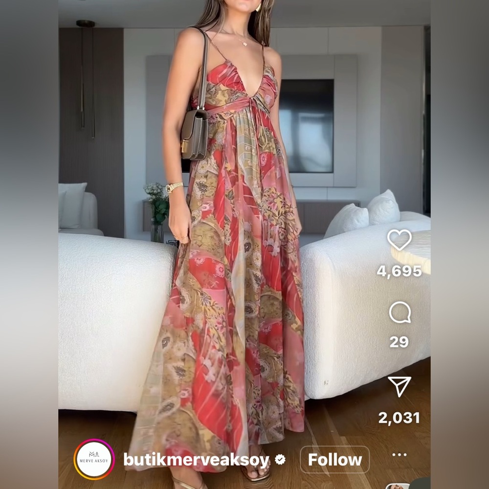 Zara Red and Brown Maxi Dress